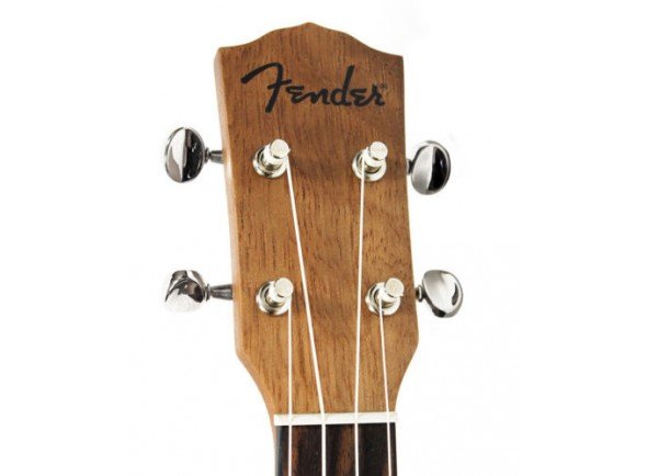 fender-piihaeu_569fd0fce1fdc.jpg