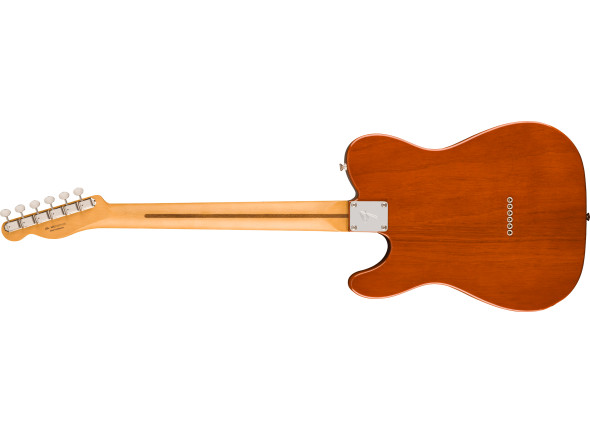 fender-player-ii-telecaster-maple-fingerboard-mocha_671a540ee1405.jpg