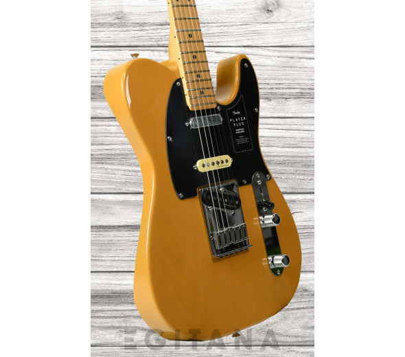 fender-player-plus-nashville-butterscotch-blonde_6351112396fe6.jpg