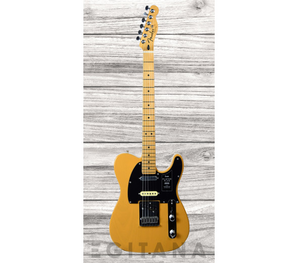 fender-player-plus-nashville-butterscotch-blonde_63511124bff72.jpg