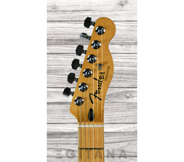 fender-player-plus-nashville-butterscotch-blonde_63511125b543e.jpg