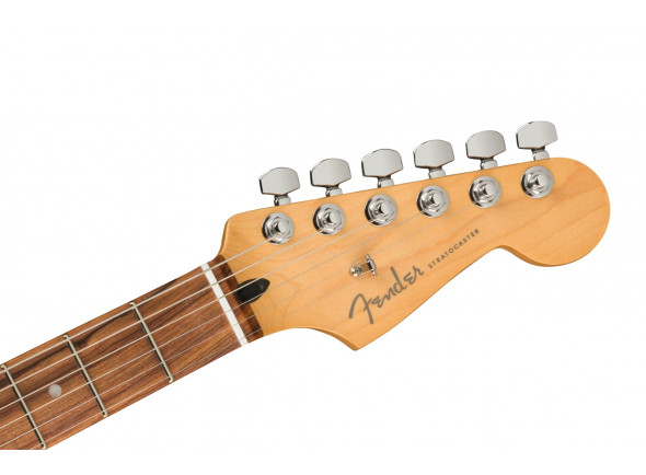 fender-player-plus-silver-burst_6140d104c2a97.jpg