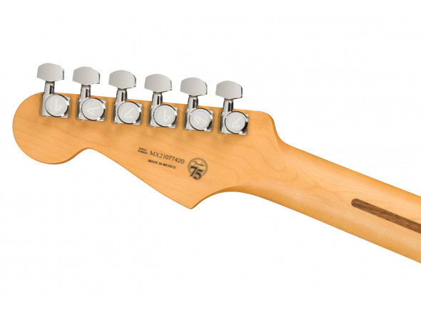 fender-player-plus-silver-burst_6140d10616533.jpg