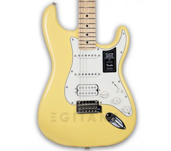 fender-player-series-strat-hss-mn-bcr_5fb6b9d67f4ea.webp