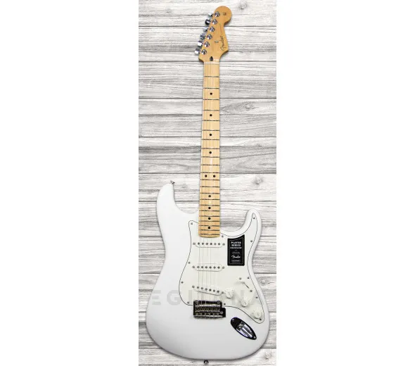 fender-player-series-strat-mn-pwt_6093bec49b3dc.webp