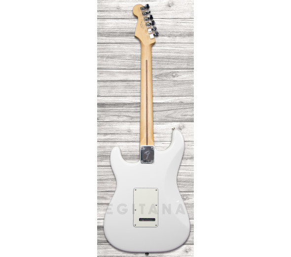 fender-player-series-strat-mn-pwt_6093bec596134.jpg