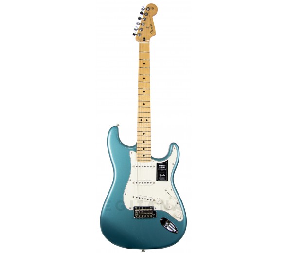 fender-player-series-strat-mn-tpl_5f97fe8551654.jpg