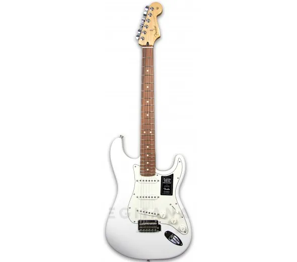 fender-player-series-strat-pf-pwt_5f9bf67d96d95.webp