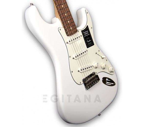 fender-player-series-strat-pf-pwt_5f9bf67e930ca.jpg