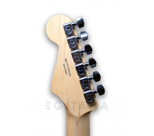 fender-player-series-strat-pf-pwt_5f9bf680f3951.jpg