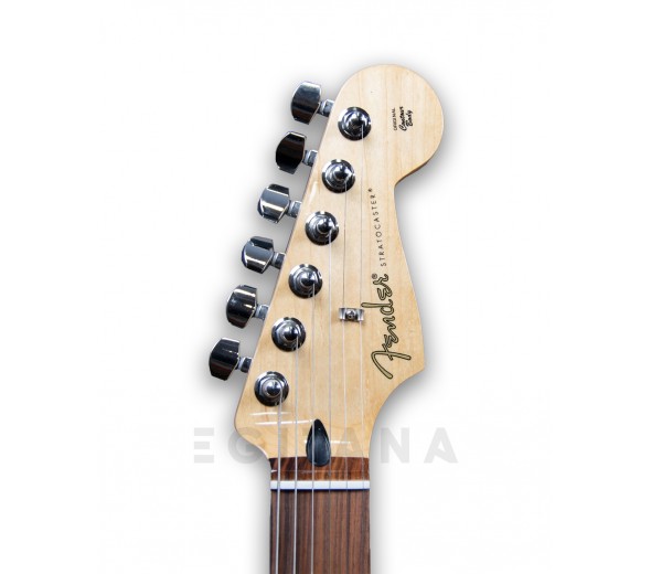 fender-player-series-strat-pf-pwt_5f9bf6821898d.jpg