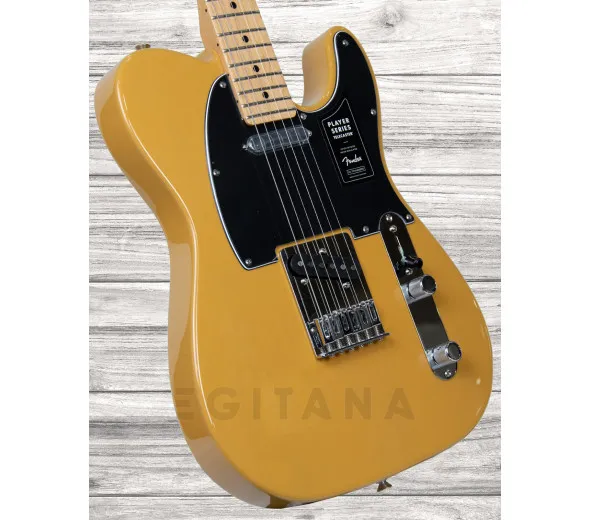 fender-player-series-tele-mn-btb_6093b81ab7637.webp