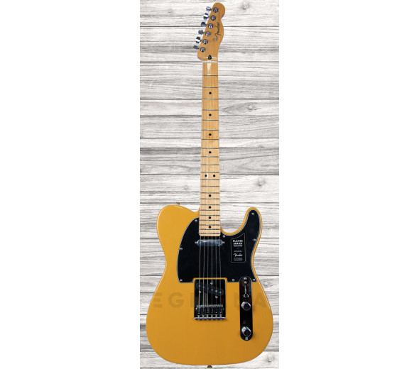 fender-player-series-tele-mn-btb_6093b81ba826d.jpg