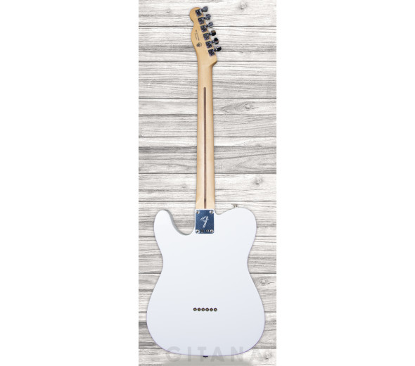 fender-player-series-tele-mn-pwt_6093c041e2473.jpg