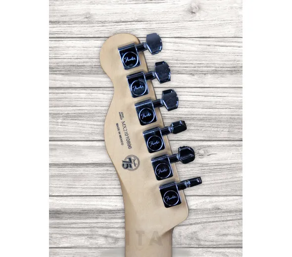 fender-player-series-tele-mn-pwt_6093c044bfd90.webp