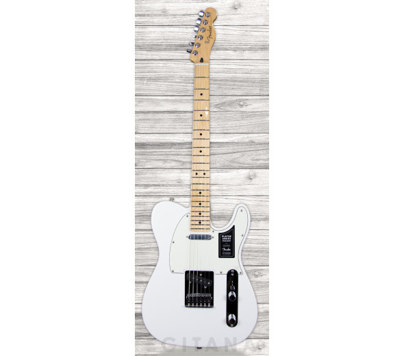 fender-player-series-tele-mn-pwt_6093c045b474b.jpg