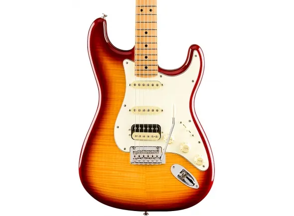 fender-player-stratocaster-hss-plus-top-ltd-sienna-sunburst_5df78e3939806.webp