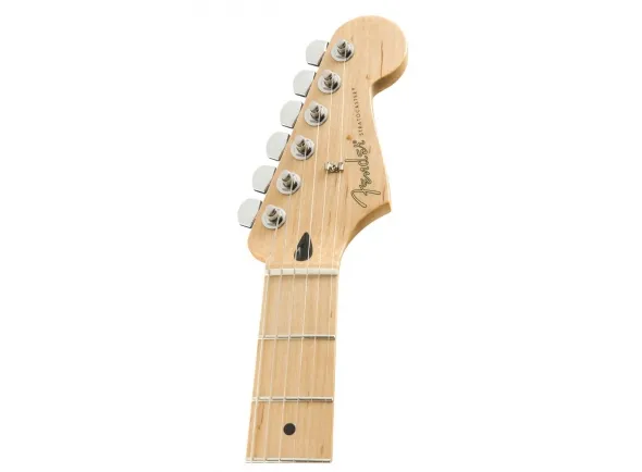 fender-player-stratocaster-mn-tidepool_5e1f1bfadb196.webp