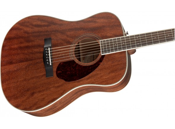 fender-pm-1-std-dreadnought-mah_5feb4e0f586cf.jpg