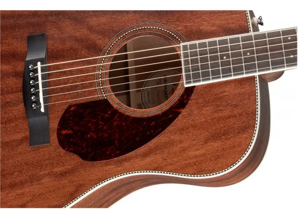 fender-pm-1-std-dreadnought-mah_5feb4e10bc06b.webp