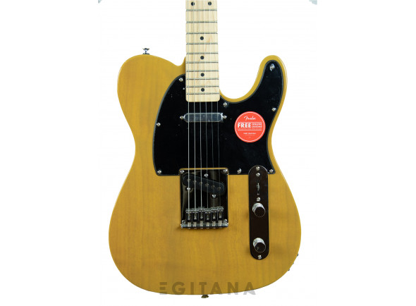 fender-squier-affinity-tele-mn-butterscotch-blonde_61cc868959a01.jpg