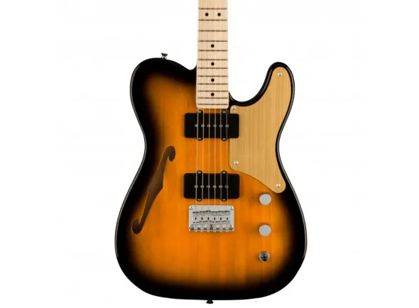 fender-squier-paranormal-cabronita-thinline-2-tone-sunburst_6143795bf1193.webp