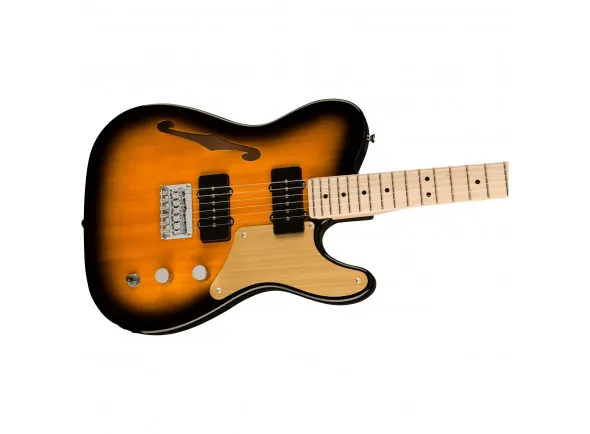 fender-squier-paranormal-cabronita-thinline-2-tone-sunburst_6143795eaae00.webp