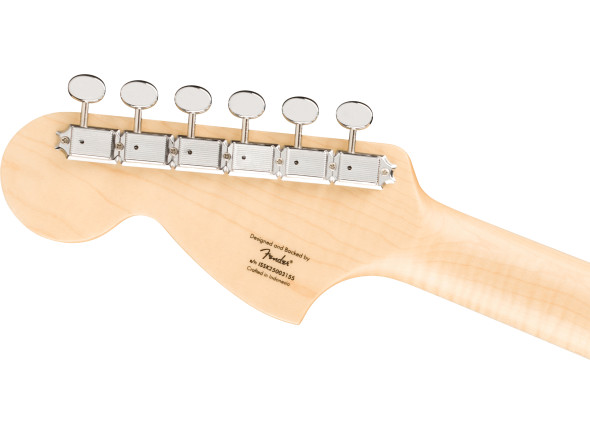 fender-squier-paranormal-trouble-telecaster-blk_6a5f387d15646.jpg