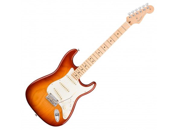 fender-stratocaster-american-pro-sienna-sunburst_5.jpg