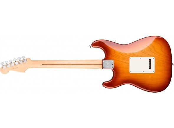 fender-stratocaster-american-pro-sienna-sunburst_5_2.jpg