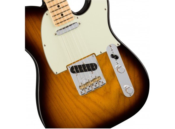 fender-telecaster-american-pro-2-color-sunburst_58_3.jpg