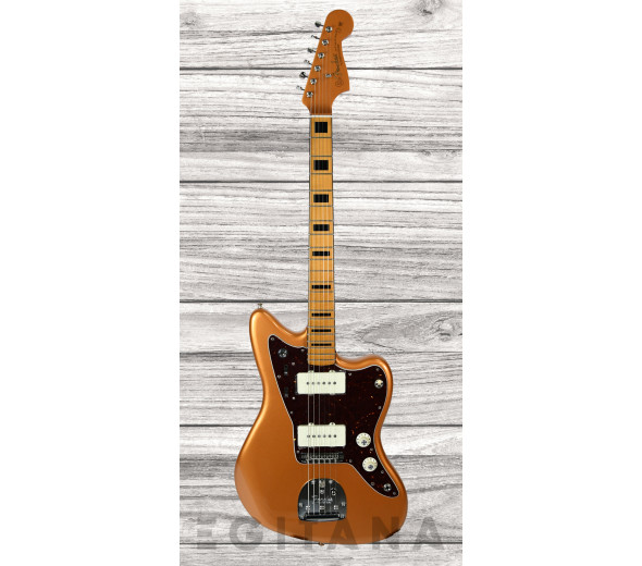 fender-troy-v-leeuwen-jazzmaster-mn_637ce337e4b1a.jpg