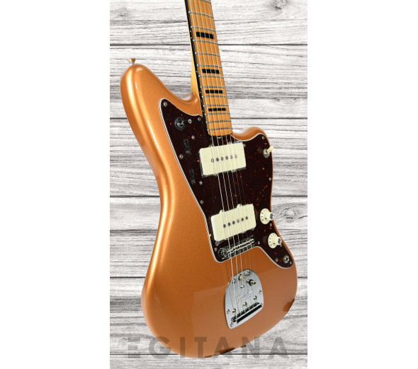 fender-troy-v-leeuwen-jazzmaster-mn_637ce33c2dae4.jpg