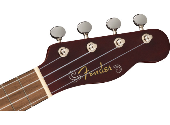 fender-venice-soprano-ukulele-2ts-wn_62b1f31fa2357.jpg