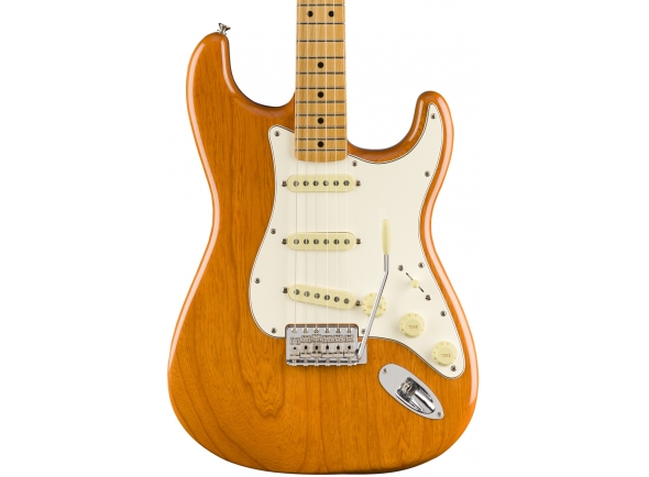 fender-vintera-70s-stratocaster-mn-agn_5db85b560cbc1.jpg