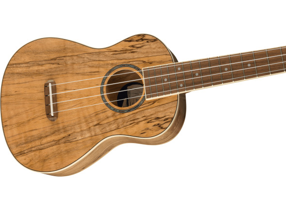 fender-zuma-concert-uke-spalted-maple_62b1f0fc95029.jpg