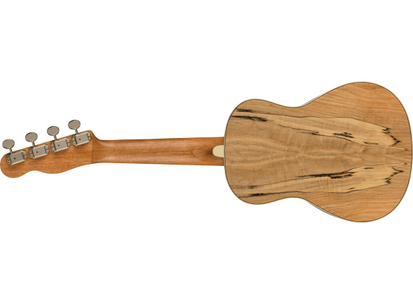 fender-zuma-concert-uke-spalted-maple_62b1f1095e13a.jpg