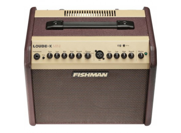 fishman-loudbox-mini-with-bluetooth-2-channel-60-watt-1x65_63d16467eb1be.jpg