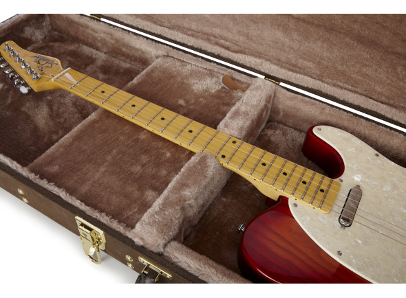 gator-deluxe-case-e-guitar-vintage_67d44a43e4c3a.jpg