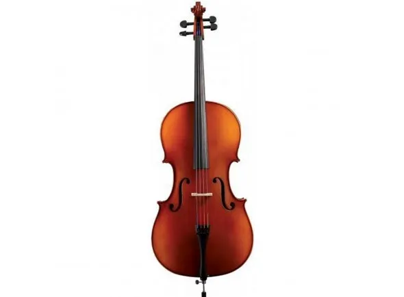 gewa-allegro-vl1-violin-4-4-fc-lh_5ed139c53a301.webp