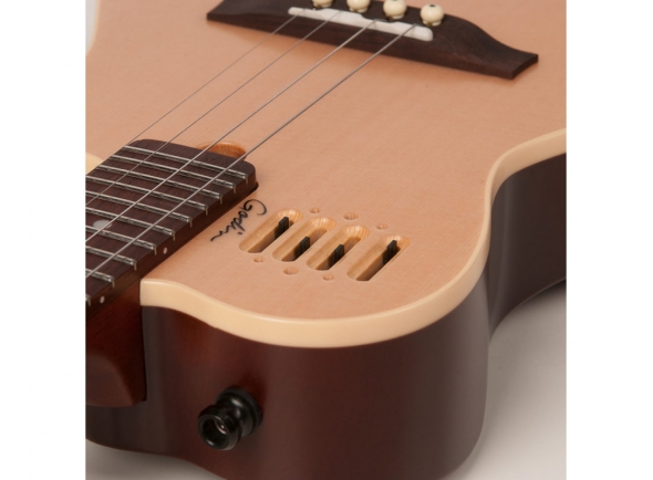 godin-cavaquinho_5baa48ea19452.jpg