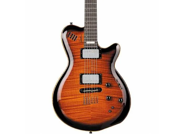 godin-lgx-sa-aaa-flamed-maple-top_5a9d75425381b.webp