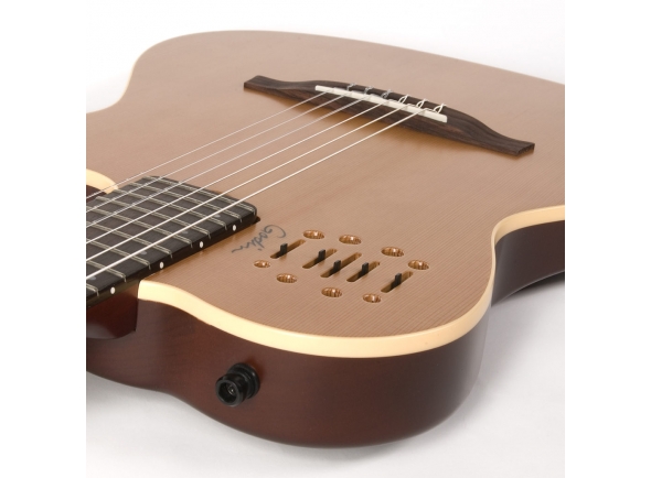 godin-multiac-encore_5ba8b05515983.jpg