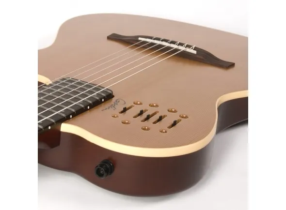 godin-multiac-encore_5ba8b05515983.webp