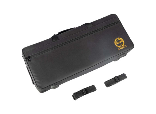 Grassi   Saxofone Alto SAL700+Kit BG Lacado