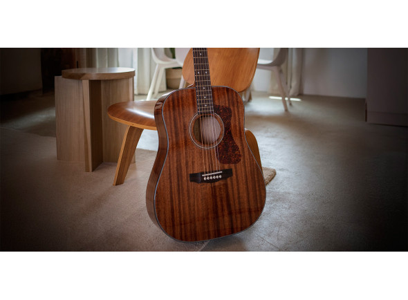 guild-d-120-nat-westerly_6a4e22cfcebd0.jpg