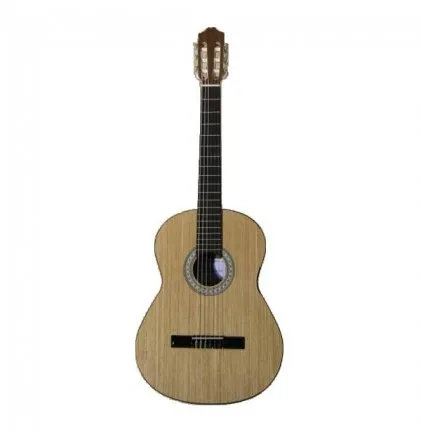 guitarra-lusitana-gc-200-vista-frontal_55f9accfee0.webp
