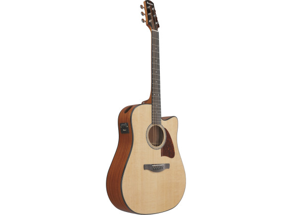 Ibanez AAD51CENT Advanced Natural