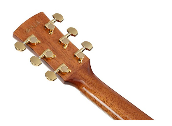 Ibanez AC391RCE-BKH