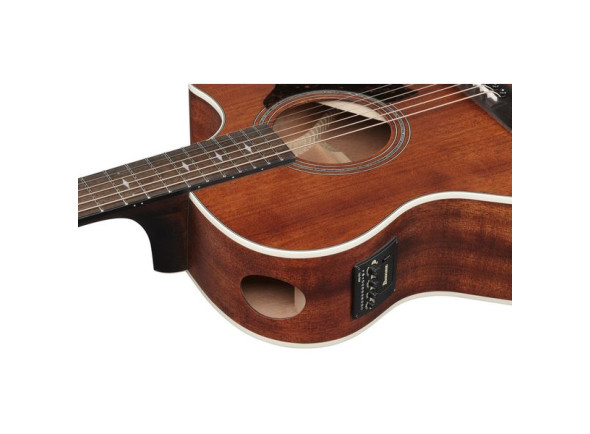 ibanez-ae140-opn_69e74539450e9.jpg